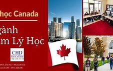 Các Ngành Học Của Canada Thạc Sĩ Ở Guarulhos Việt Nam