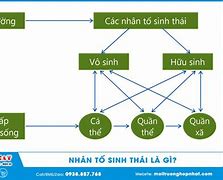 Nhân Loại Nghĩa Là Gì