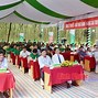 Tập Đoàn Cao Su Việt Nam Tuyển Dụng