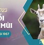 Xem Tử Vi Tuổi Mùi Sinh Năm 1979 Năm 2023